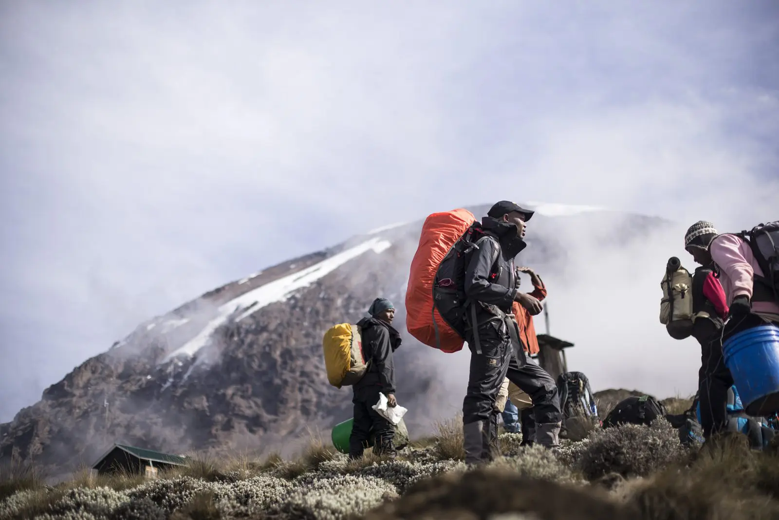 Machame Route rainforest