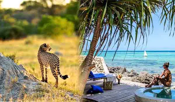 Serengeti safari and Zanzibar beach adventure