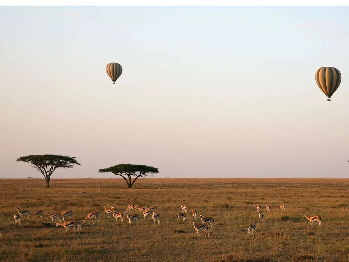 Sunrise hot air balloon over Serengeti