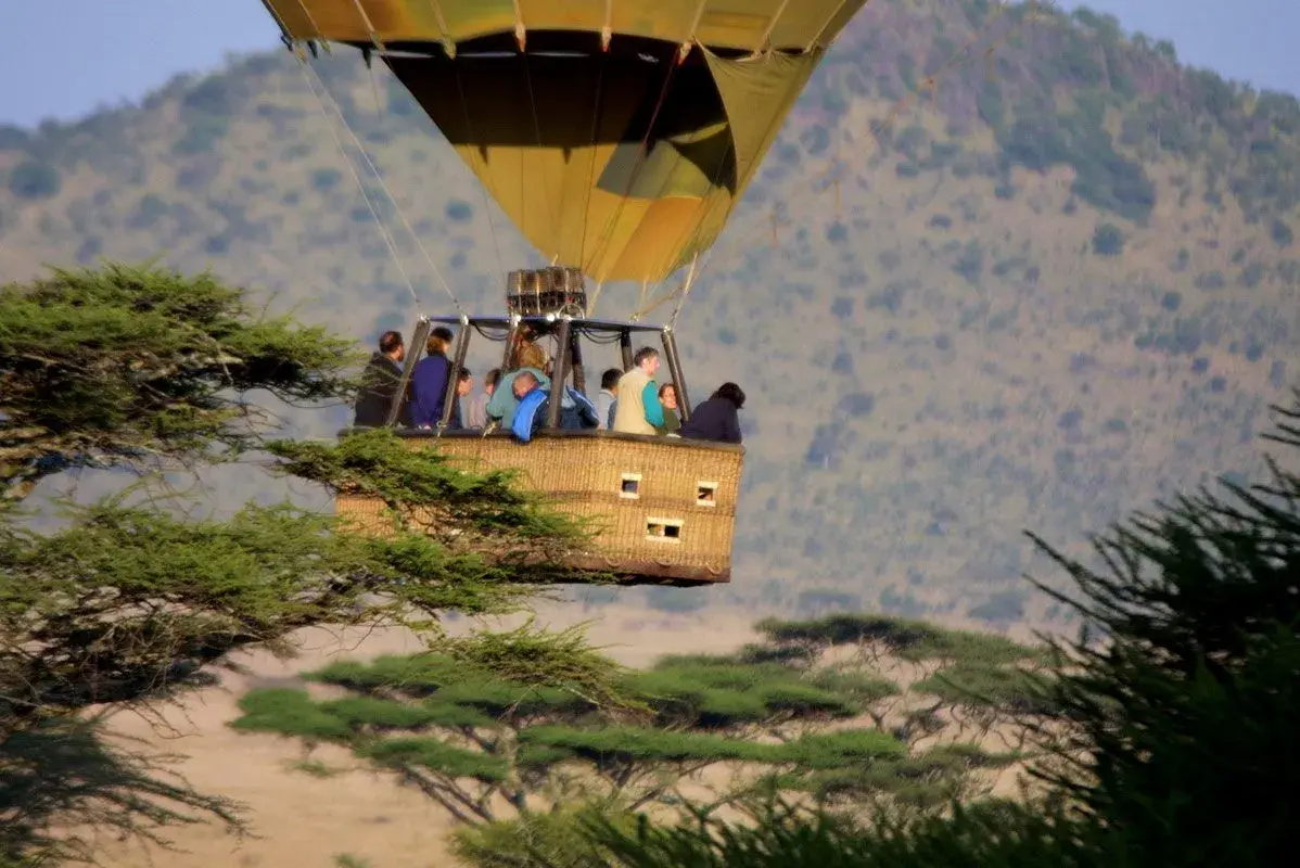 Hot air balloon over Serengeti wildlife